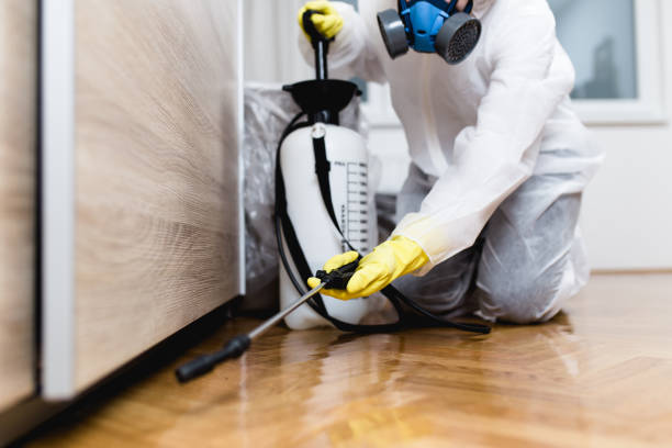 Best Exterminator Services  in Sherrill, NY