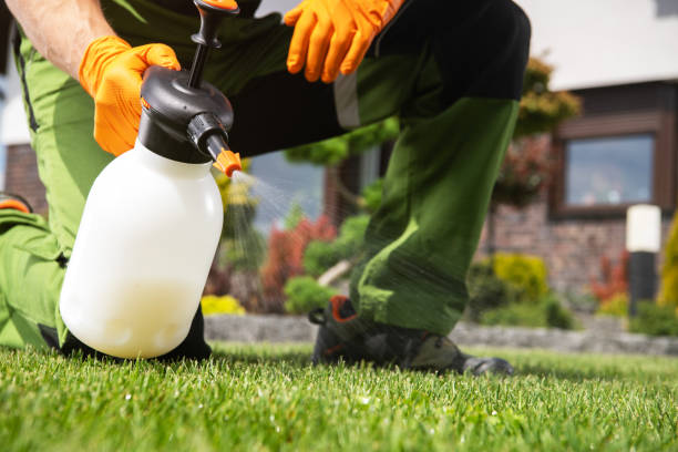 Best Mosquito Control Services  in Sherrill, NY