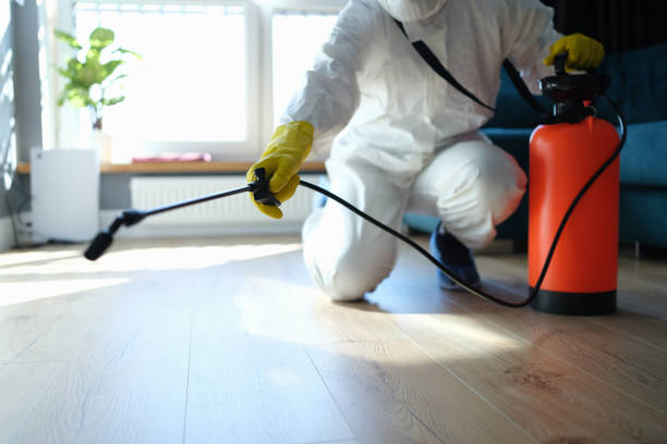 Flea Control Services in Sherrill, NY