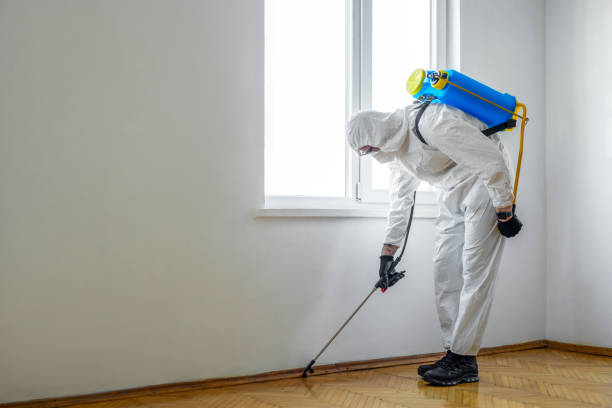 Best Pest Prevention Services  in Sherrill, NY