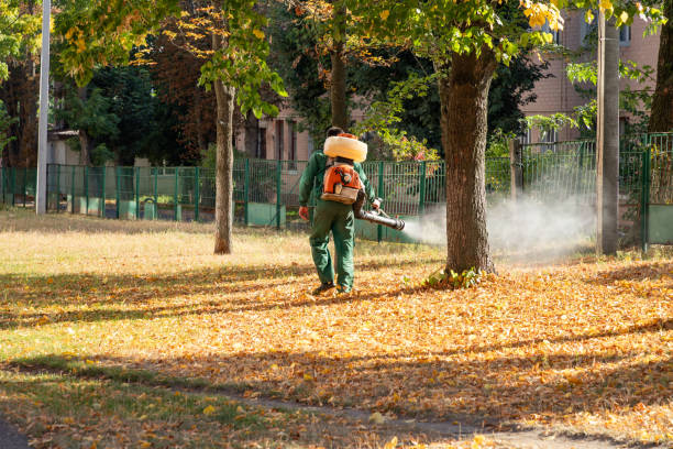 Best Pest Prevention Services  in Sherrill, NY